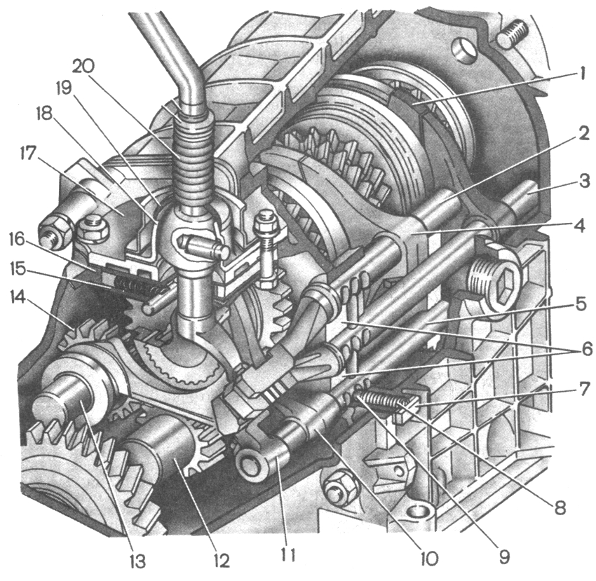 . 3-21.   : 1 -   III  IV ; 2 -    I  II ; 3 -    III  IV ; 4 -   I  II ; 5 -    V    ; 6 - ; 7 -  ; 8 -  ; 9 - ; 10 -   V    ; 11-     V    ; 12 -   V    ; 13'-     ; 14 -   ; 15 -   ; 16 -  ; 17 -    ; 18 -  ; 19 -    ; 20 -   